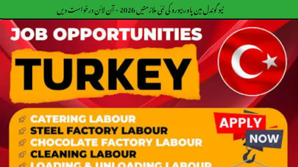 New Gondal Manpower Bureau Jobs 2026
